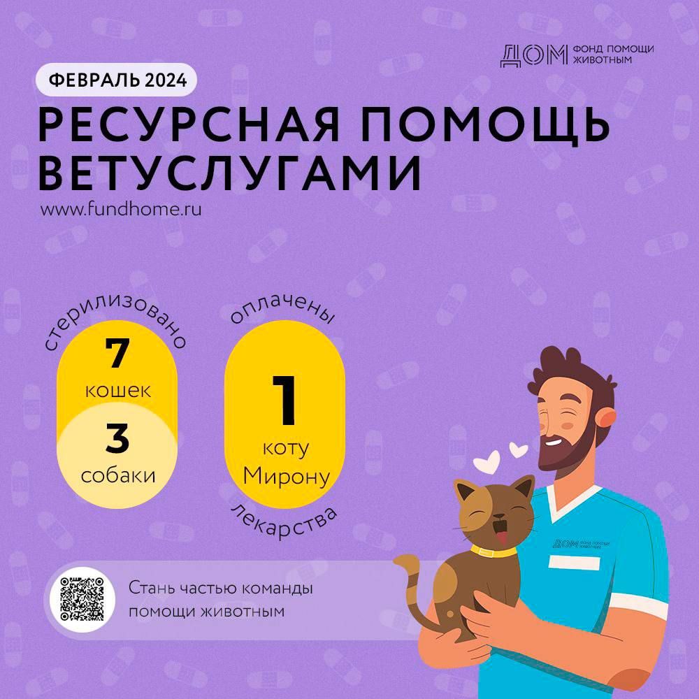 Оплатили ветпомощь 11 животным