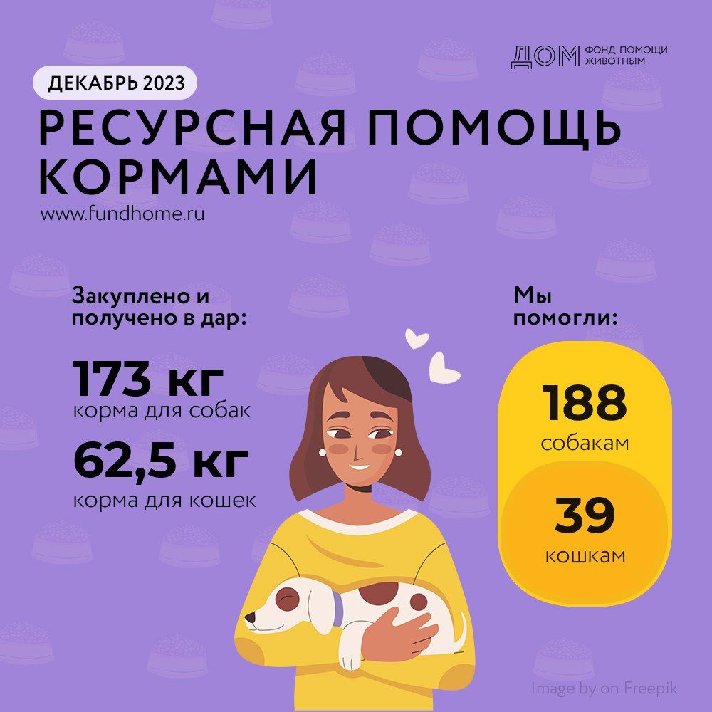 Передали более 230 кг корма бездомным животным